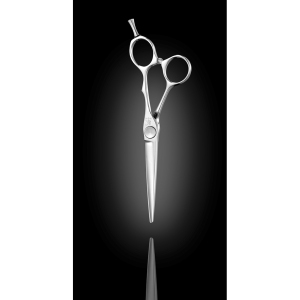 Hair Scissors VI575