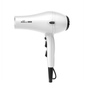 Wholesale Price Hotel Equator Professional Electric Hair Dryer with Cool Shut Button 