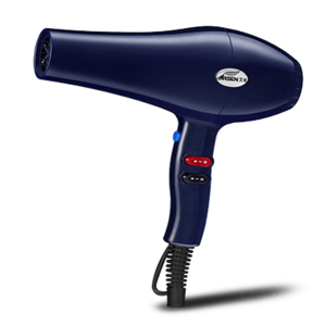 2600W Profssional hair dryer with AC motor