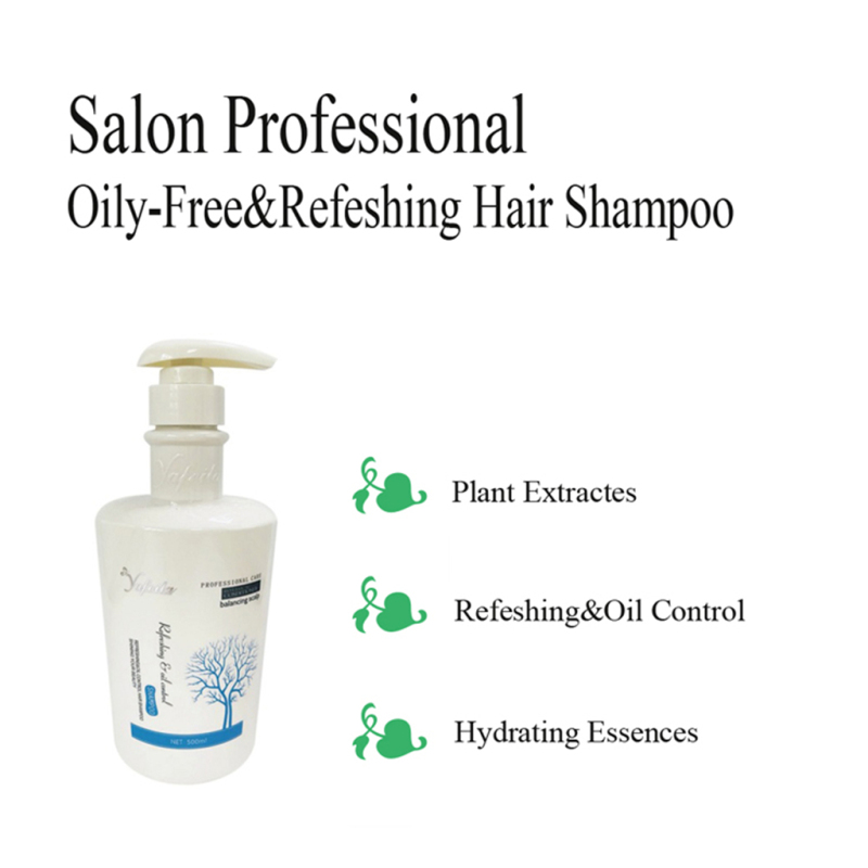 Guangzhou Factoey Private label Best hair care series refreshing oil control salon use hair shampoo amazing effect OEM and ODM 
