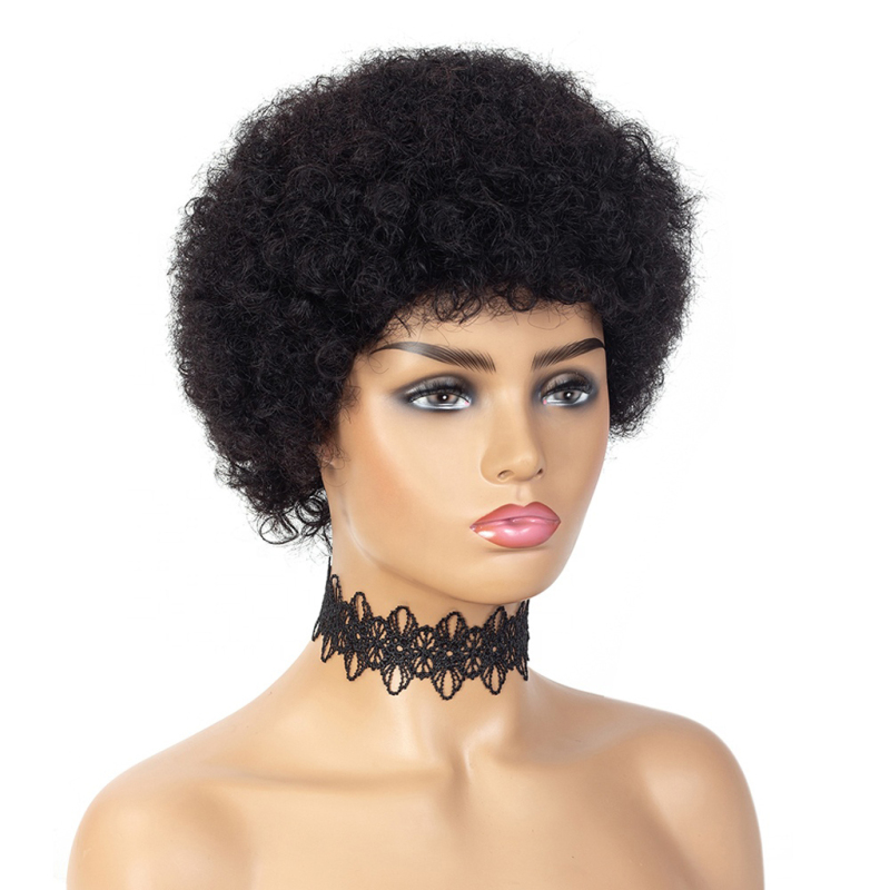 Ali Queen Short Afro Kinky Curly Wigs Remy Human Hair Wigs For Black Women Full Machine Wigs 