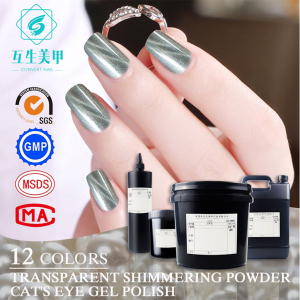 transparent shimmering powder cat's eye gel polish