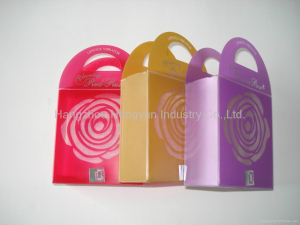 plastic box PET eco-friendly materials 