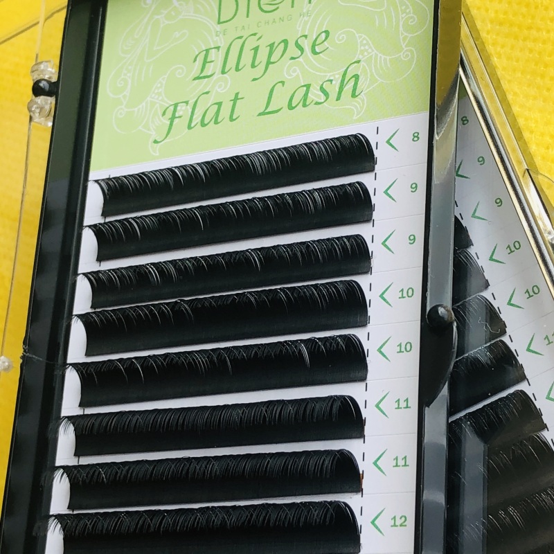 Factory Supply Ellipse Flat Eyelash Extension With Customer Logo