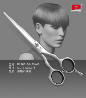 Professional Hair Scissors P6801-60
