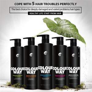 GMPC GMP Professional Organic Herbal Ammonia Free Hair Shampoo