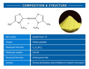 Quanternium-73 Chitosan Quaternary Ammonium Salt Purity 99% CAS 15763-48-1