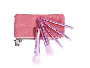 Brush Kit Small With Electroplate Handle And Fabric Bag