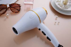 Hot Selling Salon Professional AC Motor with Concentrator/Diffuser/Ionic and Induction Function Professional Blow Hair Dryer