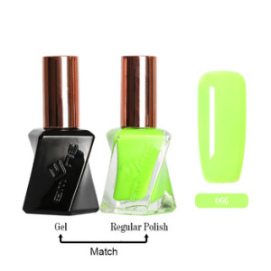 private label 110 colors 2 in 1 nail lacquer and matching uv gel art polish