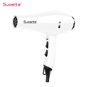 Customize professional Hair dryer 2200w Ion 