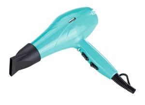 Salon professional hair dryer with AC motor