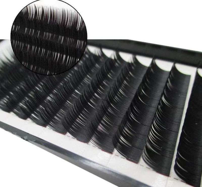 Factory Supply High Quality D Curl Eyelash Extension