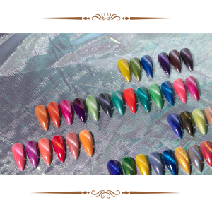 OEM professional manufacture 48 colors cat eye gel uv gel nail polish 