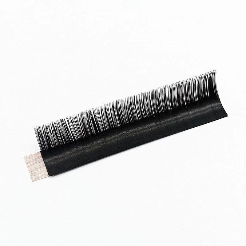 Factory Supply High Quality D Curl Eyelash Extension