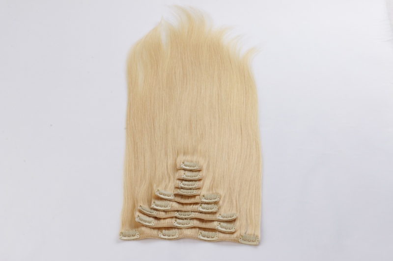 Pure human hair remy clip in hair extensions