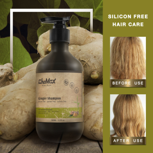 GMPC Approved Big Discounts Japan Scalp Massage Treat Hair Growth Cream Type Ginger Shampoo For Hair Loss Prevention