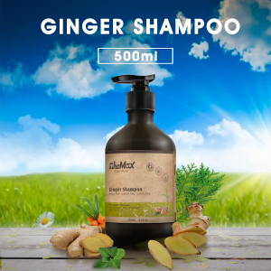 Best selling manufacturer Private Label deep clean organic hair loss argan oil home use care ginger hair shampoo