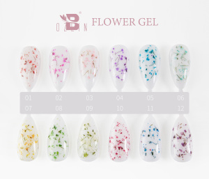 spring&summer hot selling gel nail polish BOZLIN dry flower gel 