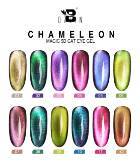 BOZLIN chameleon 5D cat eye gel polish UV/ LED Gel 