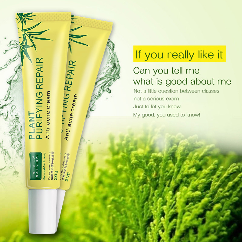 Beauty Host Plant Extract Facial anti - acne cream