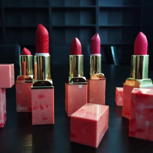 Lipstick Cosmetics Mulit-colored Long-lasting Colorful Lipstick Private Label 8