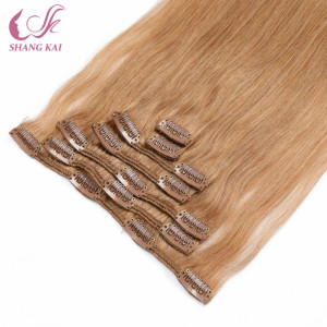 Moderate Price Cambodian Virgin Classical #18 Clip Ins Human Hair Extension
