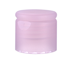 CCPD-207 flip top cap