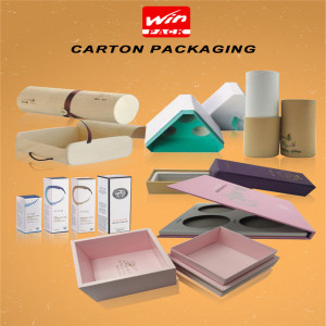 Paper Packing box