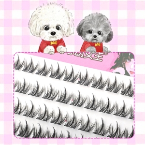 Eyelash Factory Grafting Precut Eyelash Natural Long Segment Lash DIY Eyelash Extension Premade Fan Individual Cluster