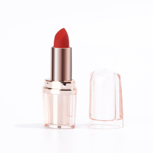 Vegan Cosmetics Private Label Waterproof Pigmented  Liquid Matte Lipstick