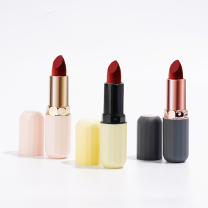 Wholesale Cruelty Free Lipstick Customized high pingment matte lipstick private label Long lasting