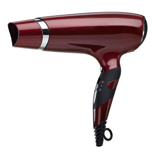 hair dryer with DC motor