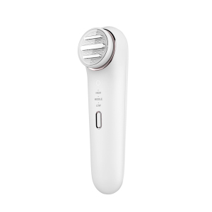 RF & EMS Beauty Instrument with LED Facial