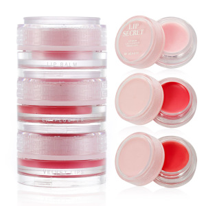 High Pigment Velvet Matte Lip Balm Plumper Lipstick Cream Soft Lip Makeup Secret