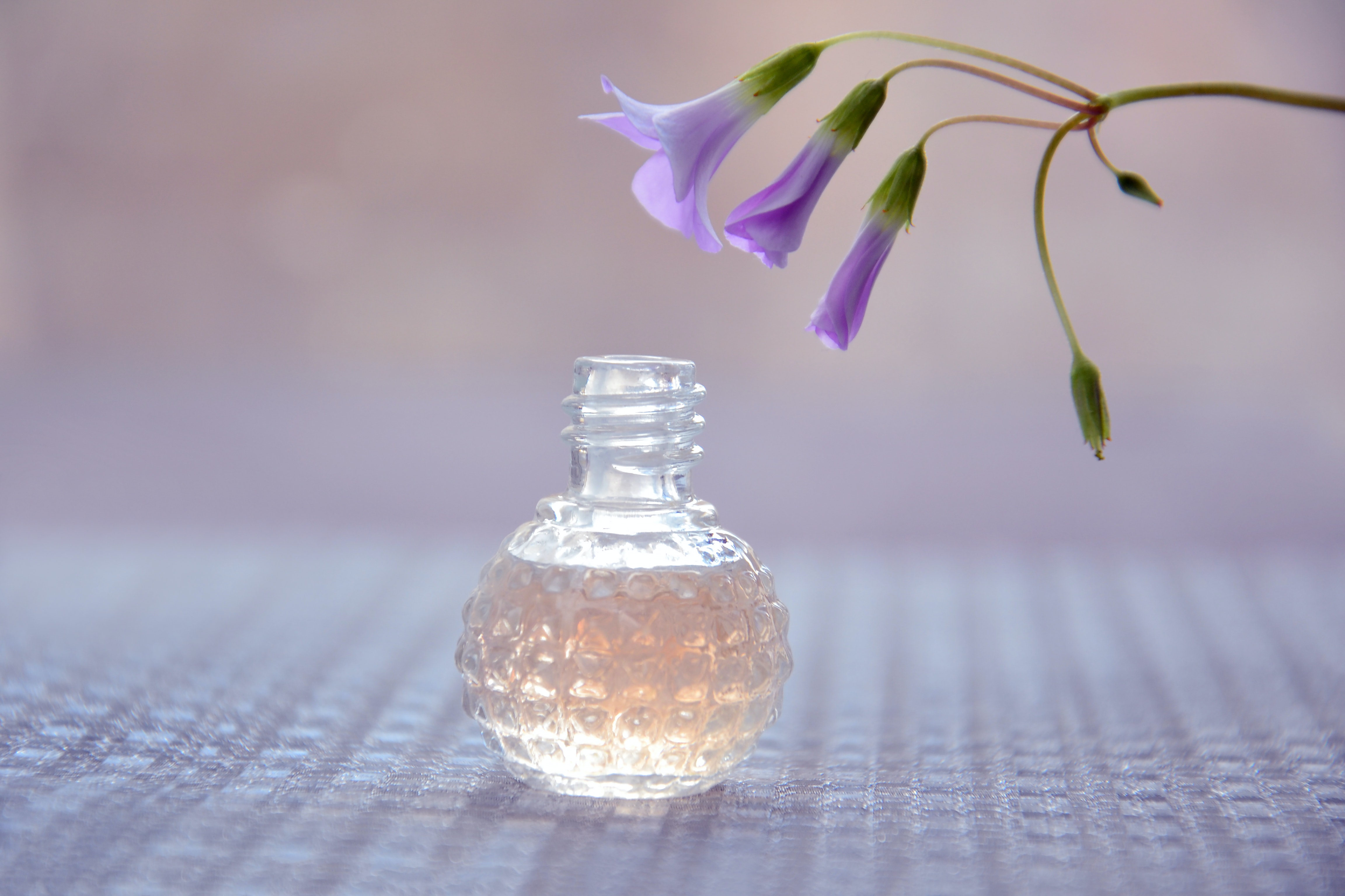 How to Make Your Own Perfume
