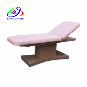 Wholesale Electric Cosmetology Bed Chair Electric Adjustment bed Cosmetic Bed Chair 