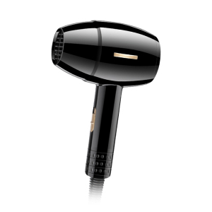 Household hair dryer