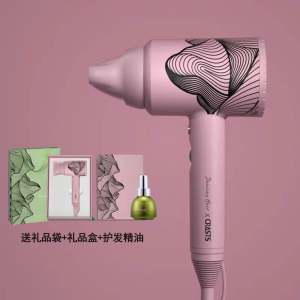 Hotel Travel Hair Dryer 1000W DC Motor Hair Dryer with removable filter nozzle diffuser 
