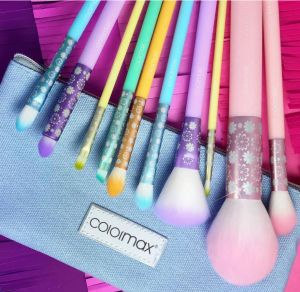 10pcs plastic handle with eco-friendly material set for makeup 