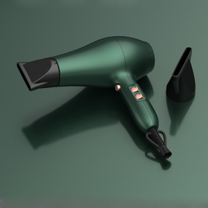 Professional Hair Dryer with High Quality DC Motor And Salon Hair Dryer ETL CE ROHS Approval Hair Dryer 