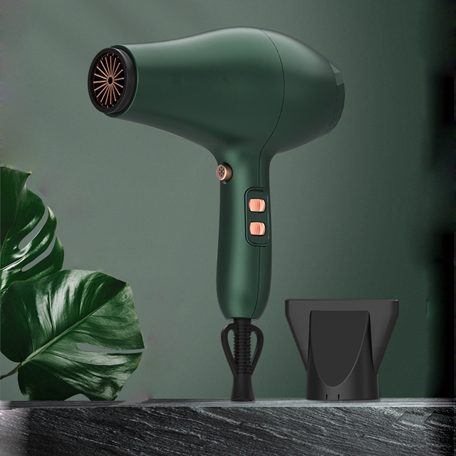 Professional Hair Dryer with High Quality DC Motor And Salon Hair Dryer ETL CE ROHS Approval Hair Dryer 