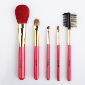 Gorgeous Mini Travel 5 piece Makeup Brushes Set with a Cute Red Brush Case