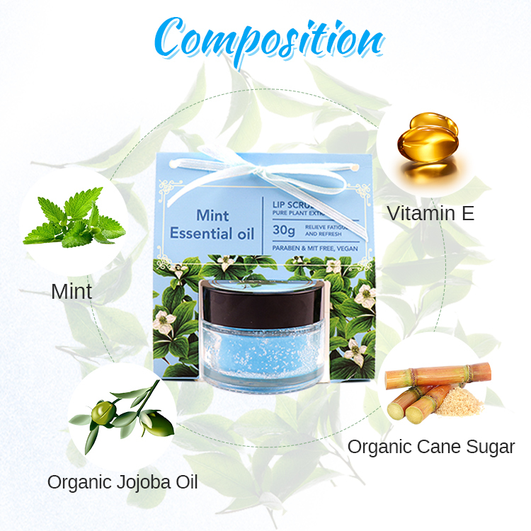 New Product Gift Set Private Label Exfoliate Sugar Vegan Organic Natural Peppermint Strawberry Coconut Lip Scrub 