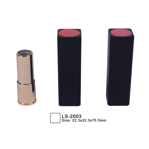 Best price plastic square wholesale empty lipstick tube case
