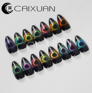 CaiXuan New Arrivals Fashion 14 Colors 9D Cat Eye Gel For Nail Supply