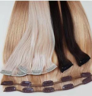 100% Russian Human Remy Clip In Hair Extensions Wholesale Seamless Indian Clip In Hair Extension 100 Human Hair