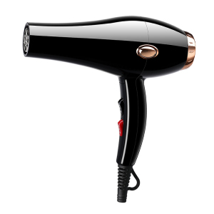 OEM service babyliss pro hair dryer 2200w Ion 