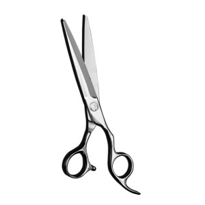 AN5625 Fashion Models 6.25 Inch Hairdressing Scissors