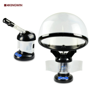 2-IN-1 Face And Hair  Steamer